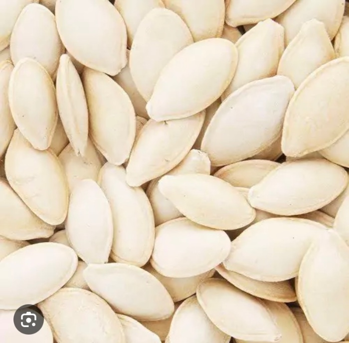 تخمه کدو نمکی گوشتی | عمده